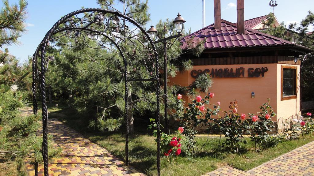 Villa Sosnovy Bor Zatoka Esterno foto