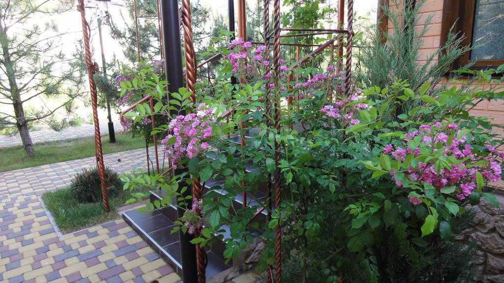 Villa Sosnovy Bor Zatoka Esterno foto