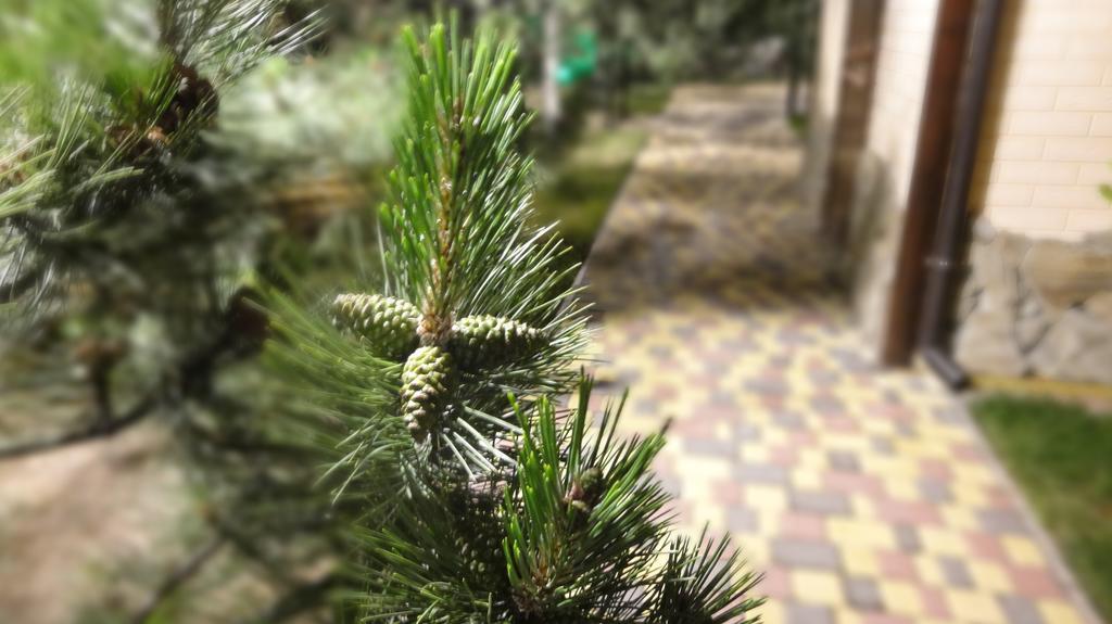 Villa Sosnovy Bor Zatoka Esterno foto