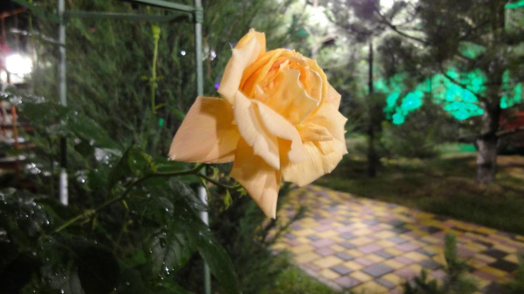 Villa Sosnovy Bor Zatoka Esterno foto