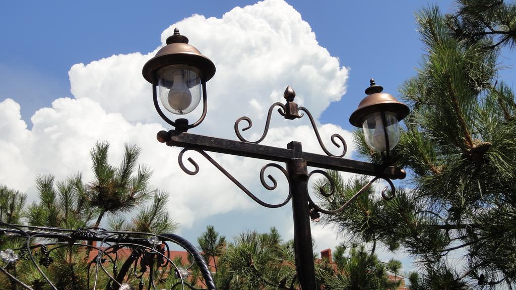 Villa Sosnovy Bor Zatoka Esterno foto
