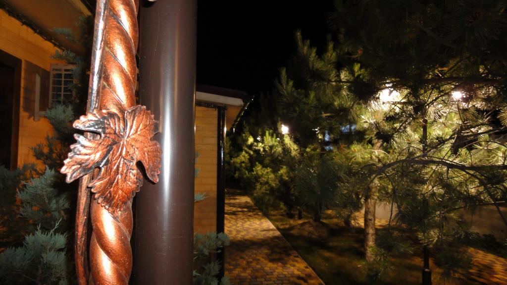 Villa Sosnovy Bor Zatoka Esterno foto